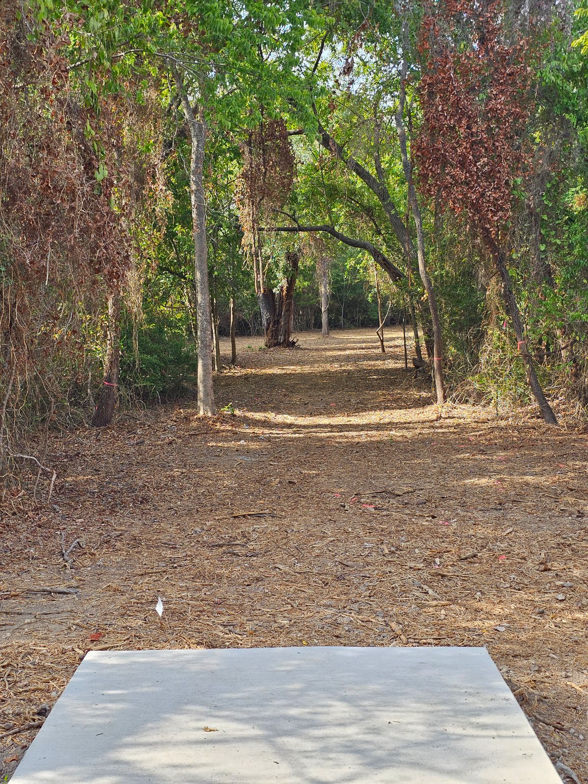 Hole 18 Tee