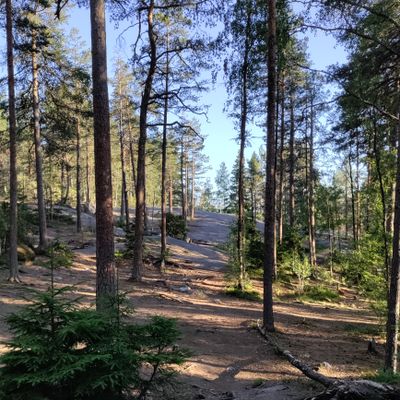 12 väylä