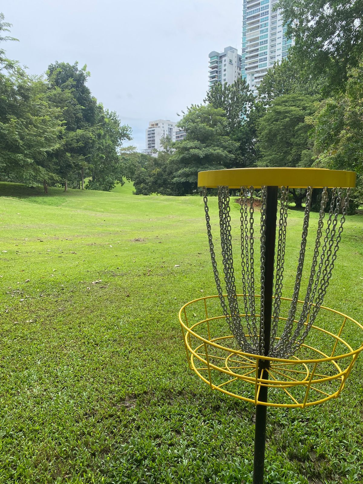 Parque Omar DG Course
Hole 10 Target