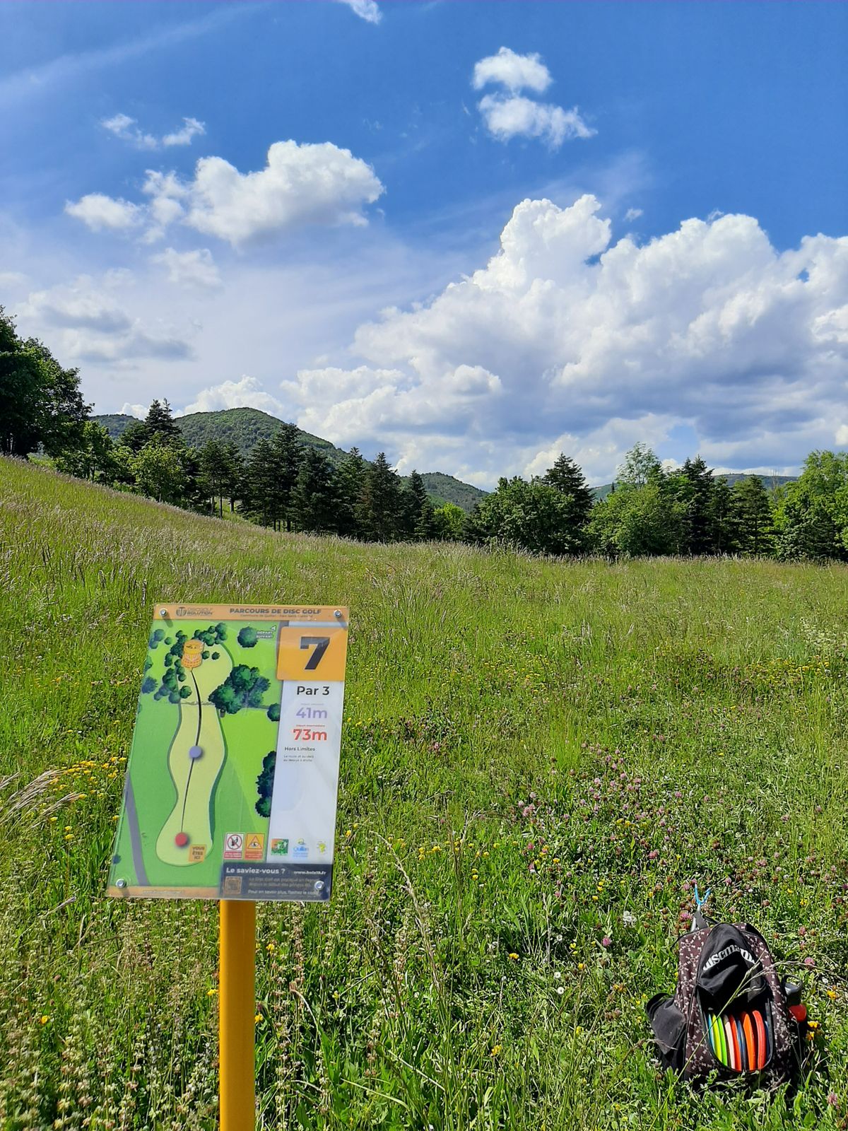 Herbes très hautes
