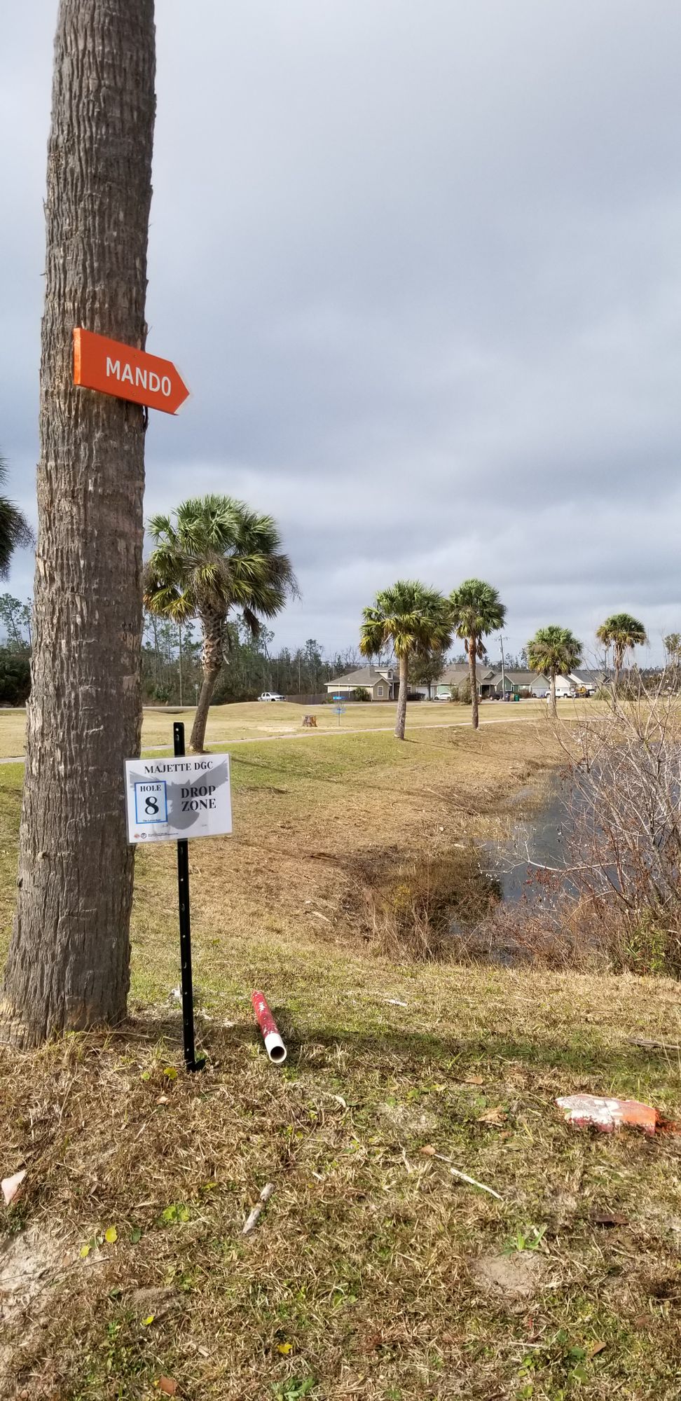 Hole 8 mando/drop zone for approach to long basket (blue)