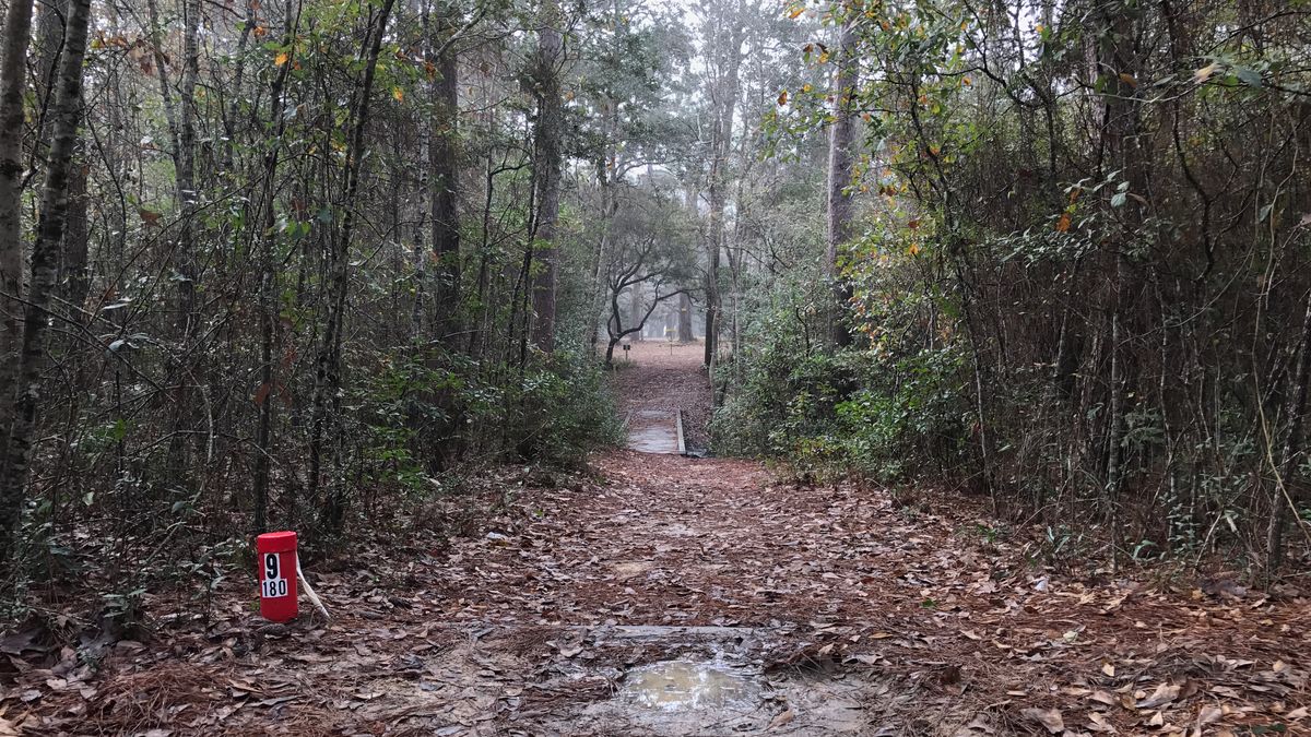 Hole 9