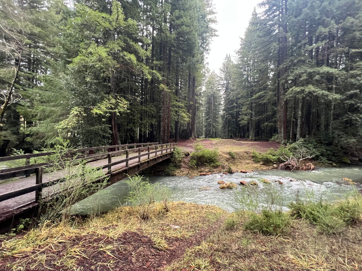 One of the beautiful water carries