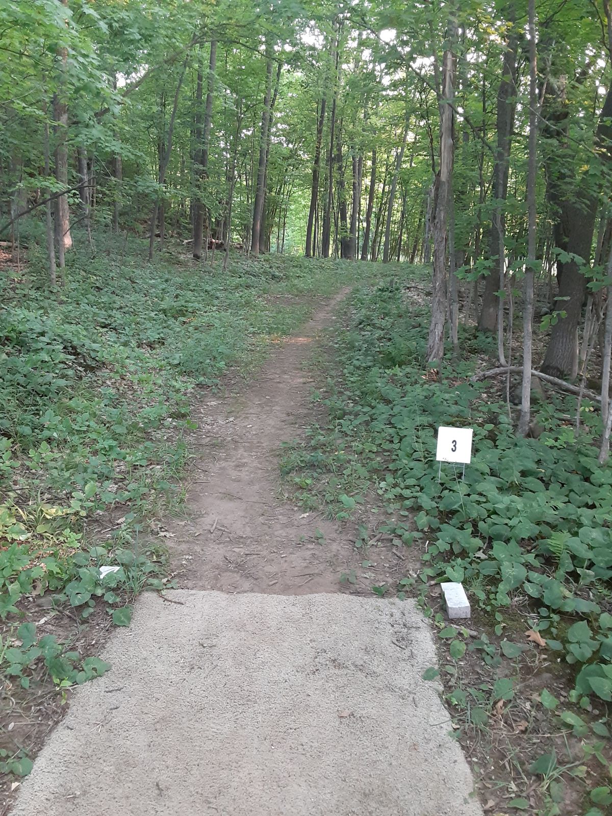 Hole 3 tee