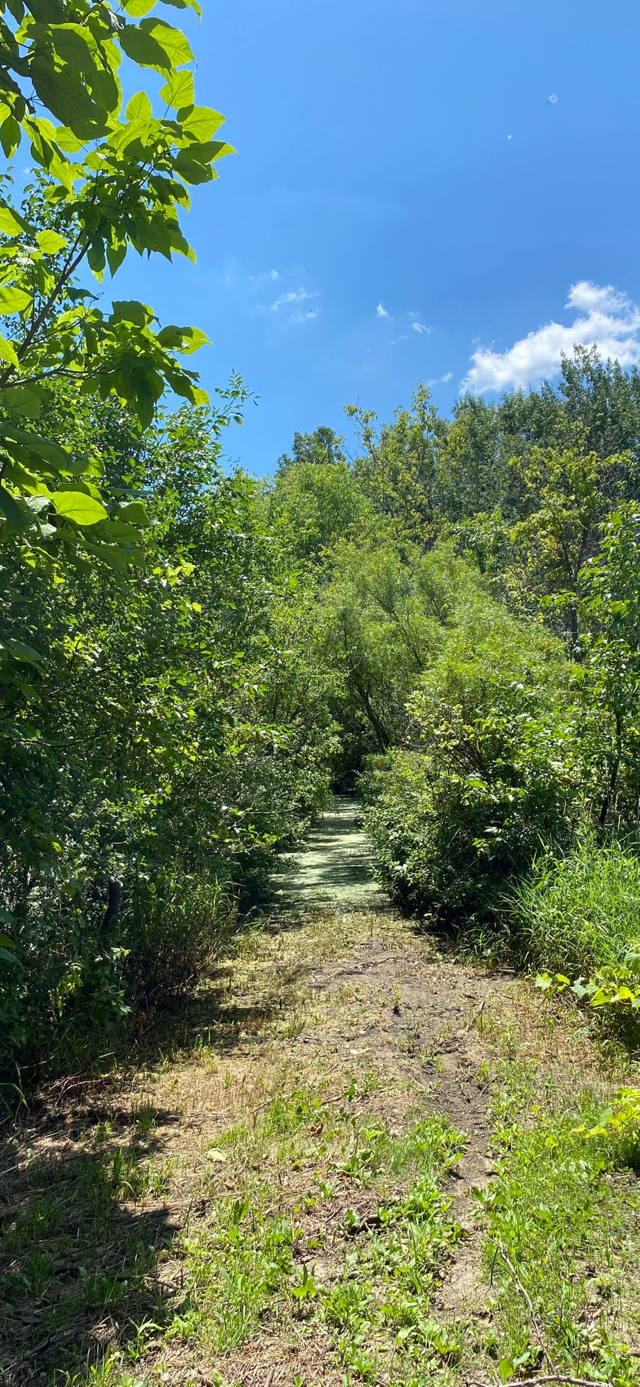 Great view on hole 6
