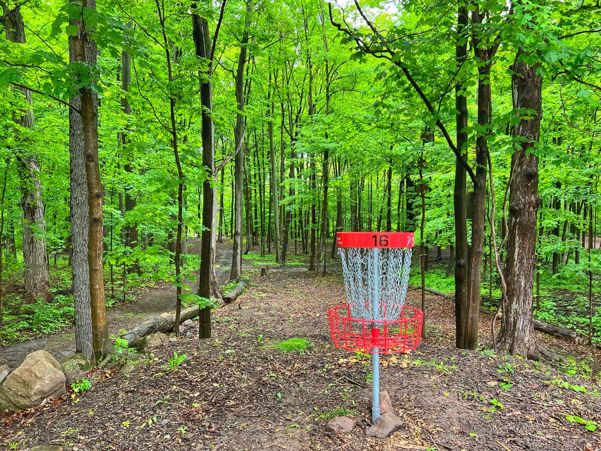 16 looking down the hill to the fairway and tees