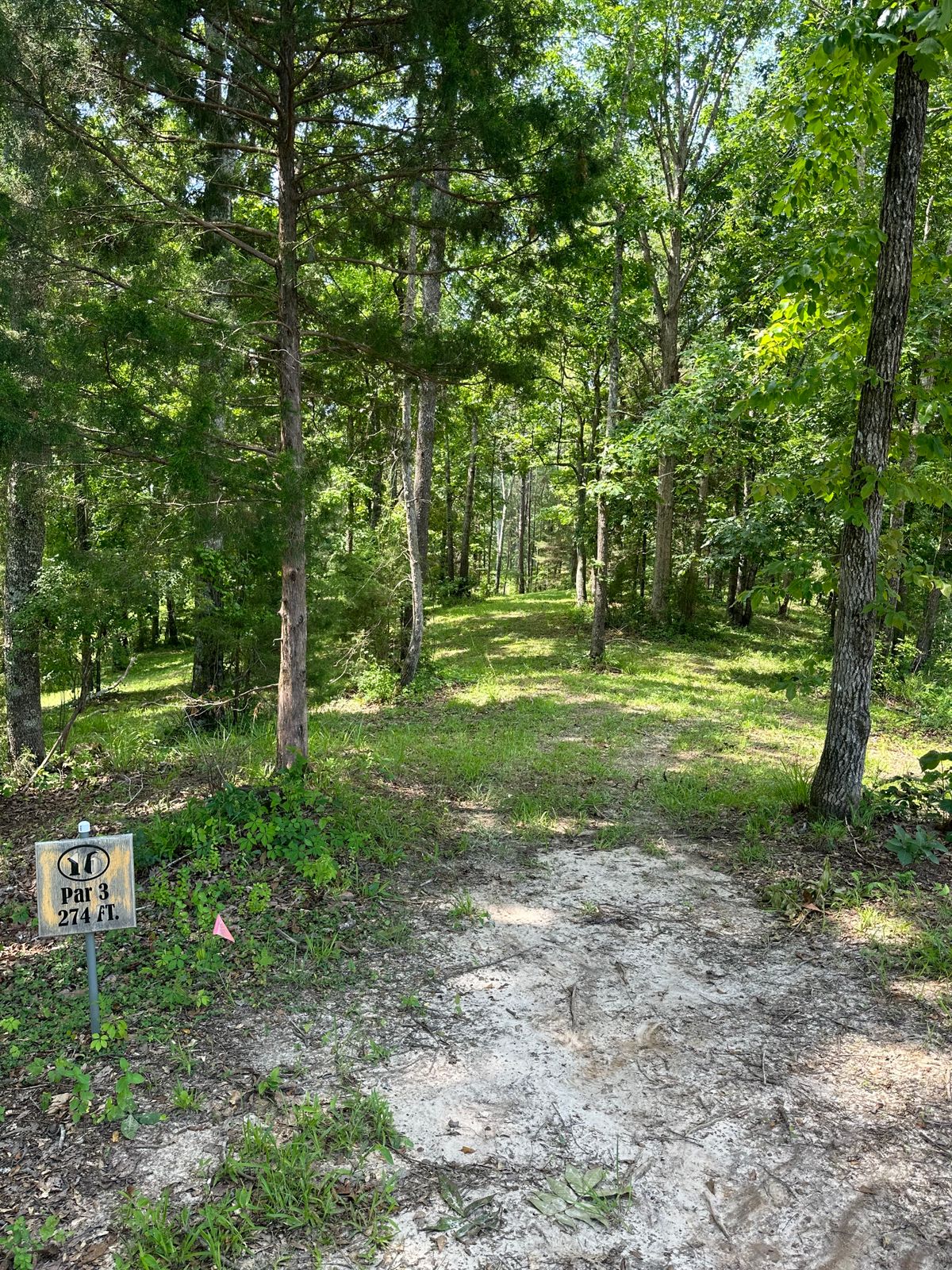 Hole 16 long tee