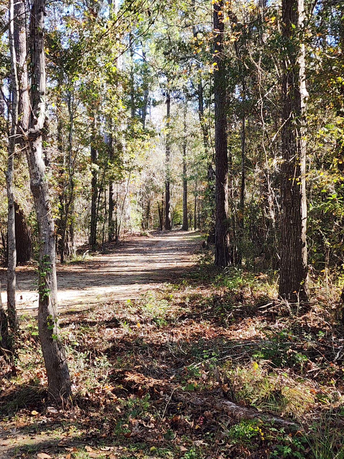 Hole 2