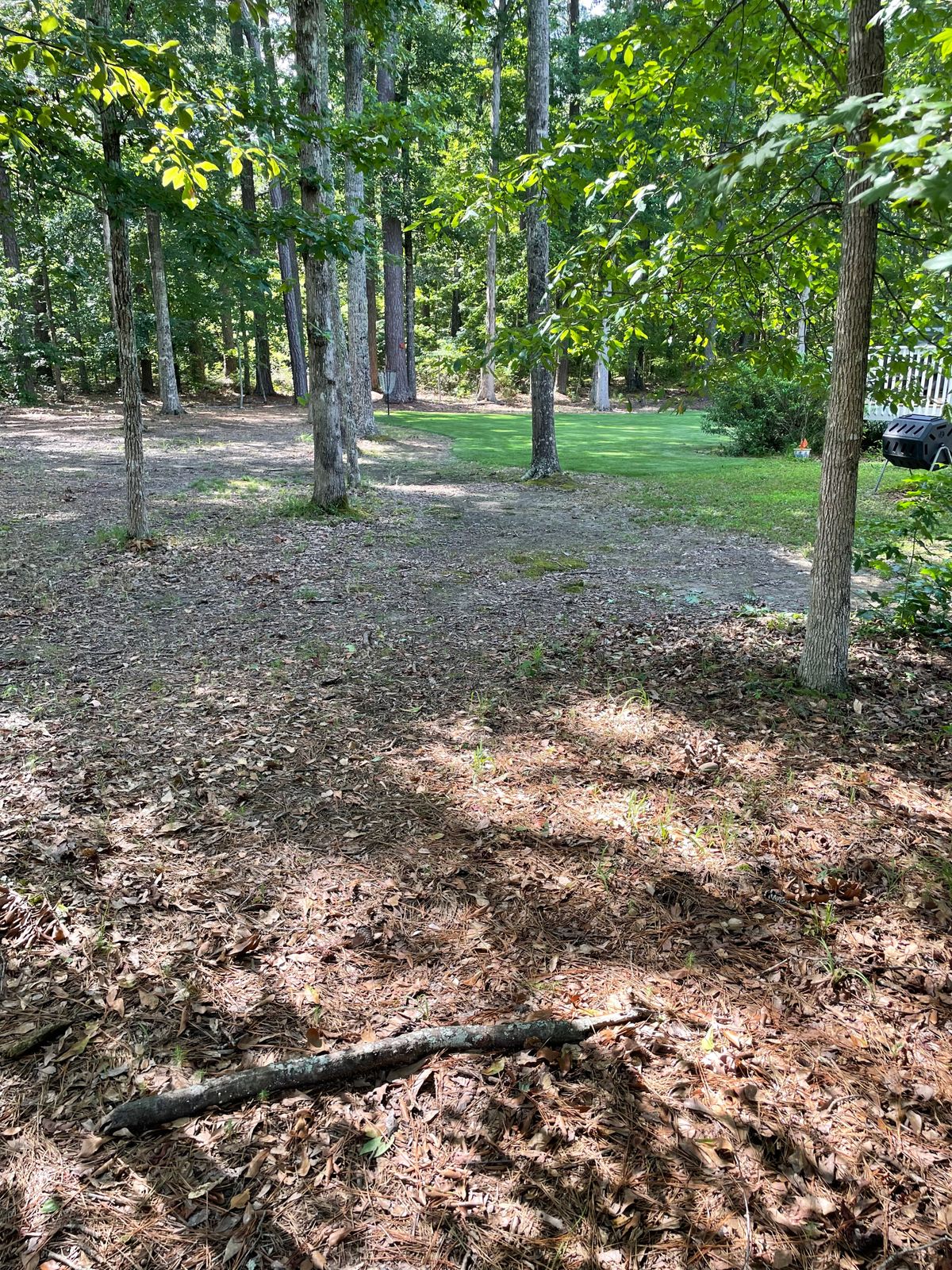 Hole 15