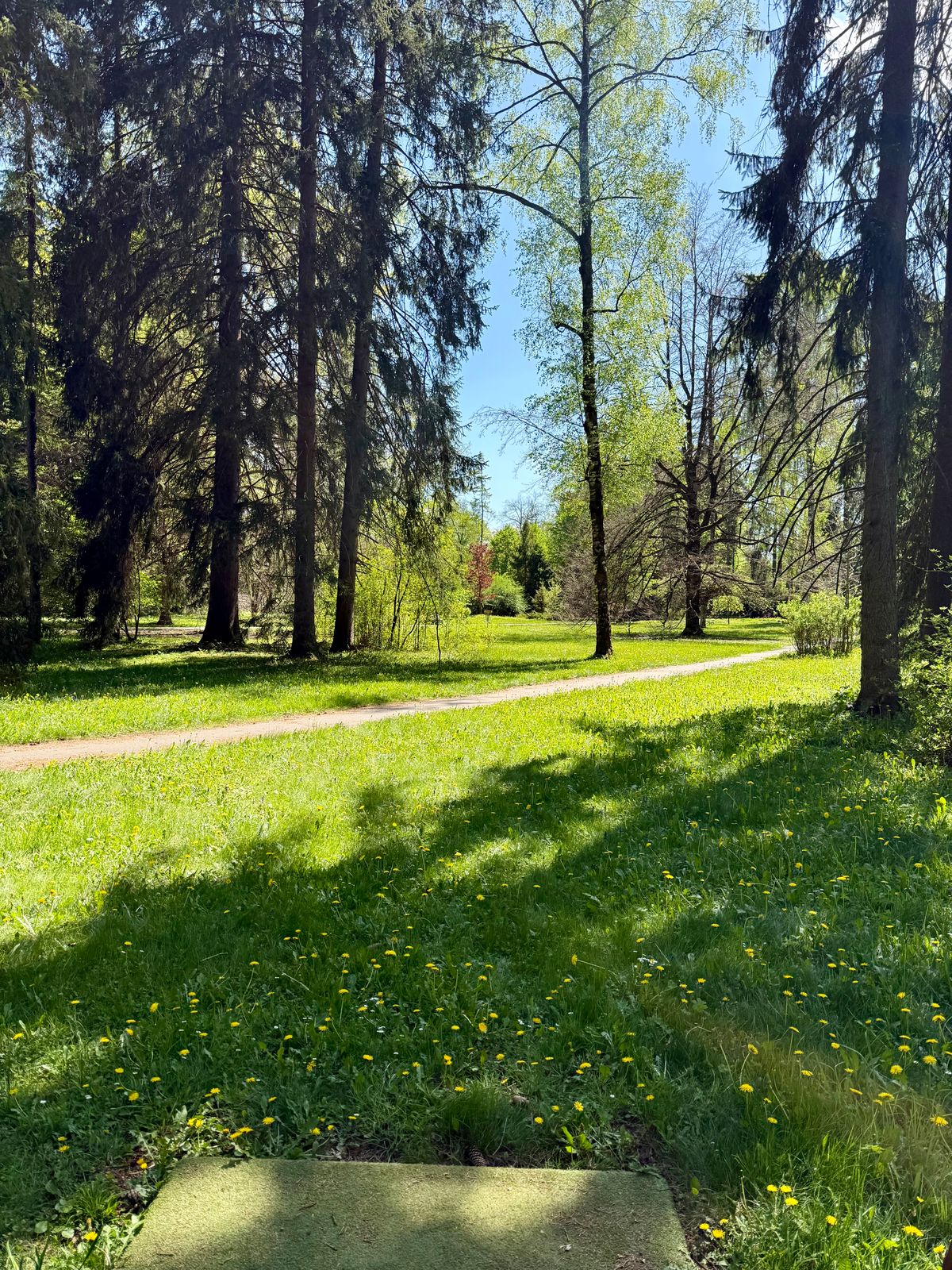 Hole 3