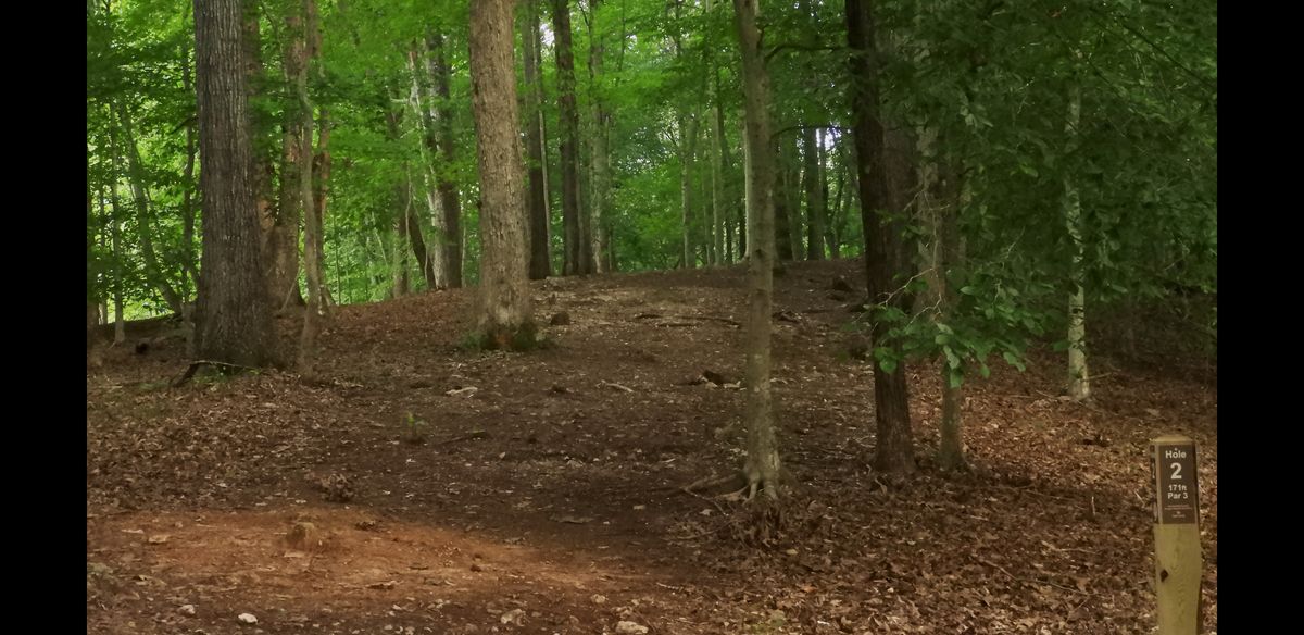 Hole 2 is blind shot over ridge. (blue flag visible from front right corner of tee pad.  Plays RHBH.
Alternative disc catcher plays LHBH