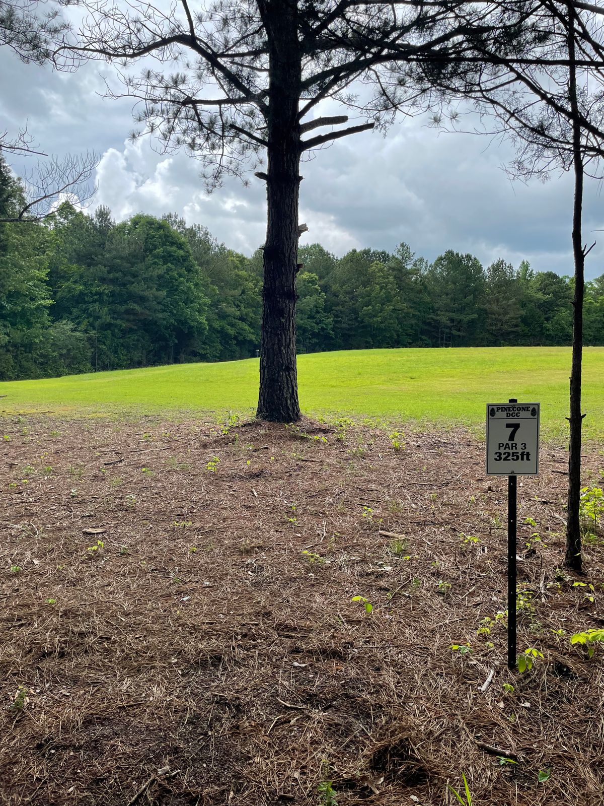Hole 7