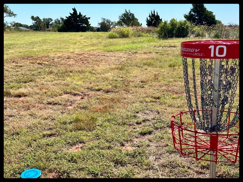 10 basket looking back at fairway