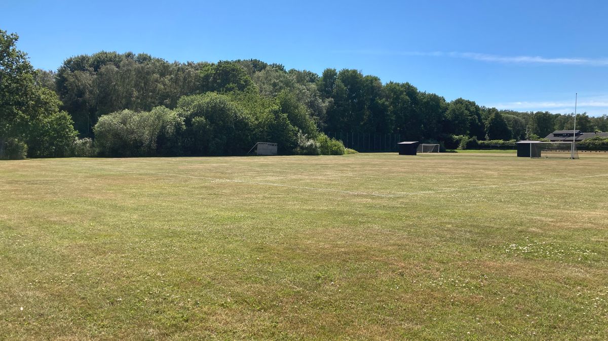 Tee 7