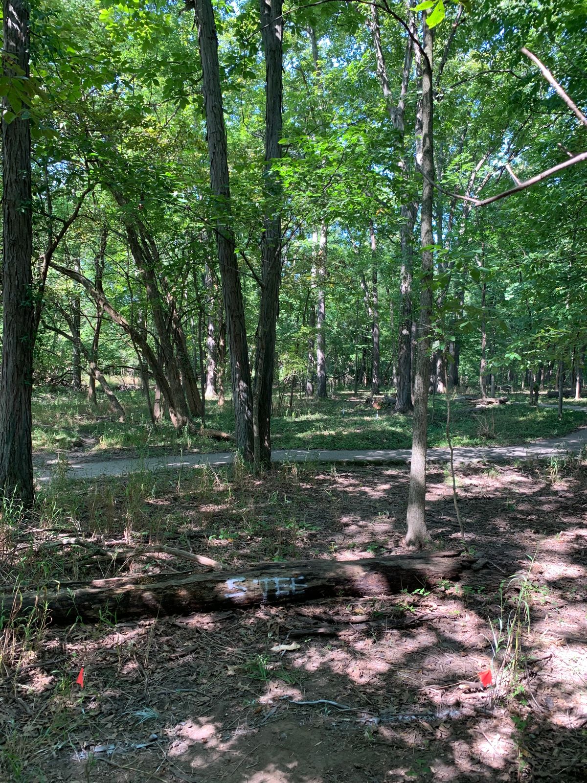 Hole 5