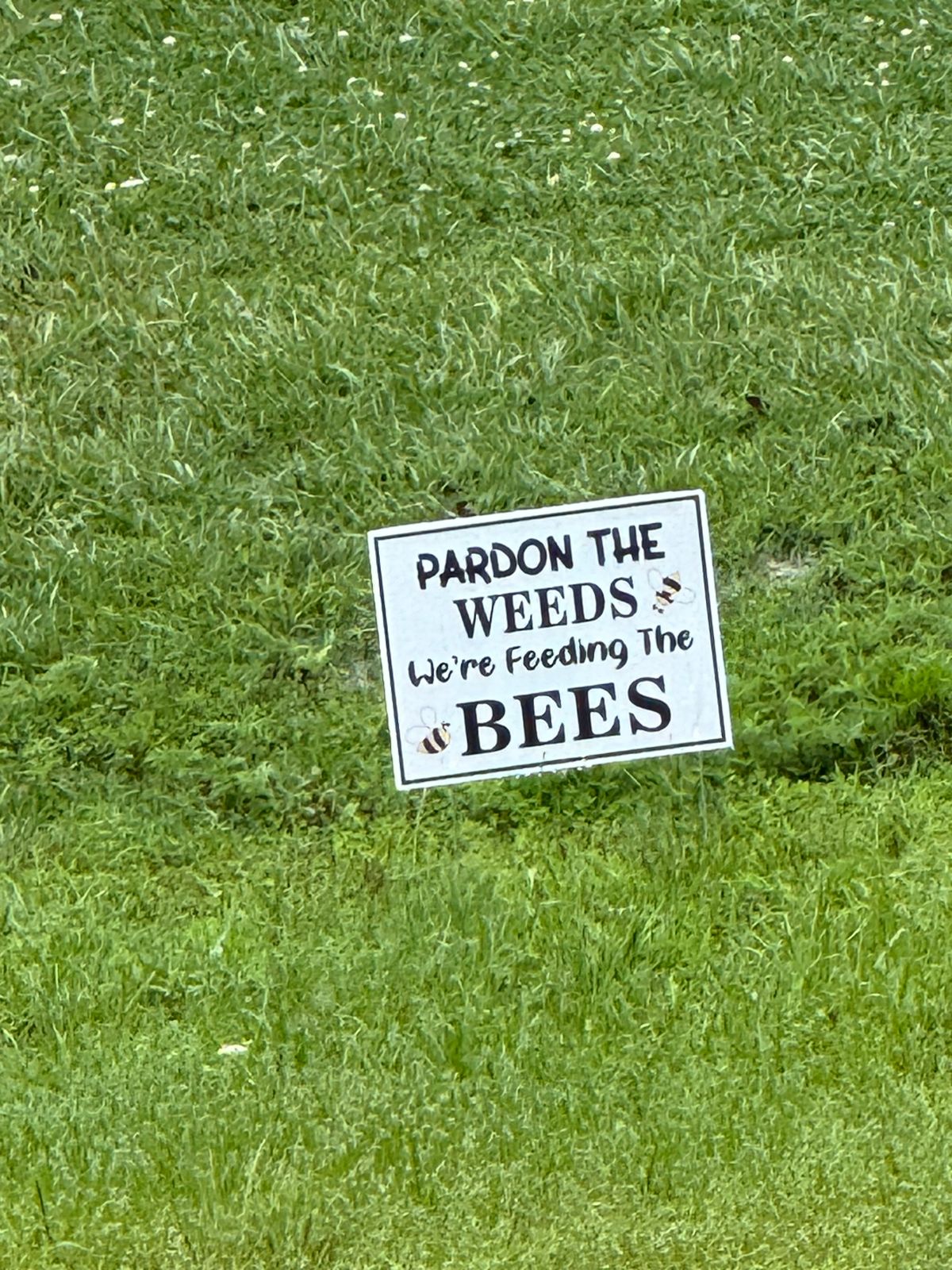 Bees!!! Best course and they are good shepherds of their land