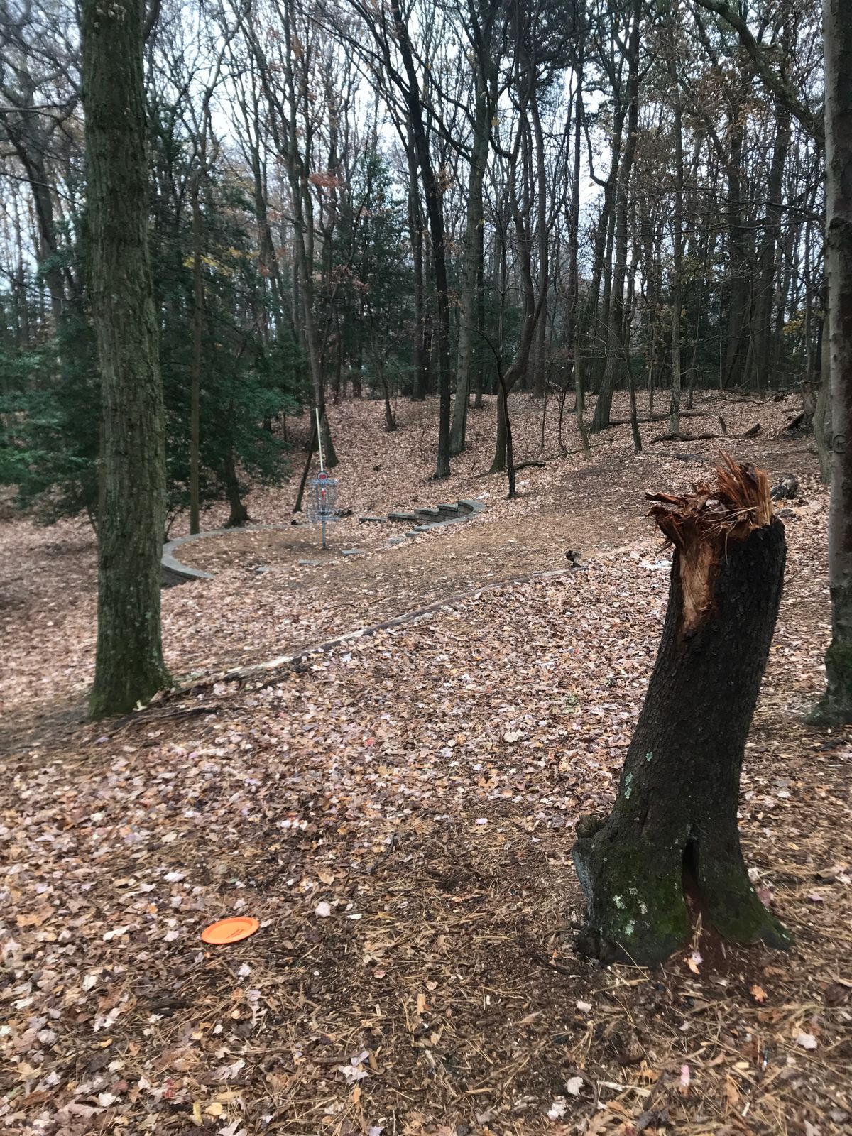 Hole 15 basket