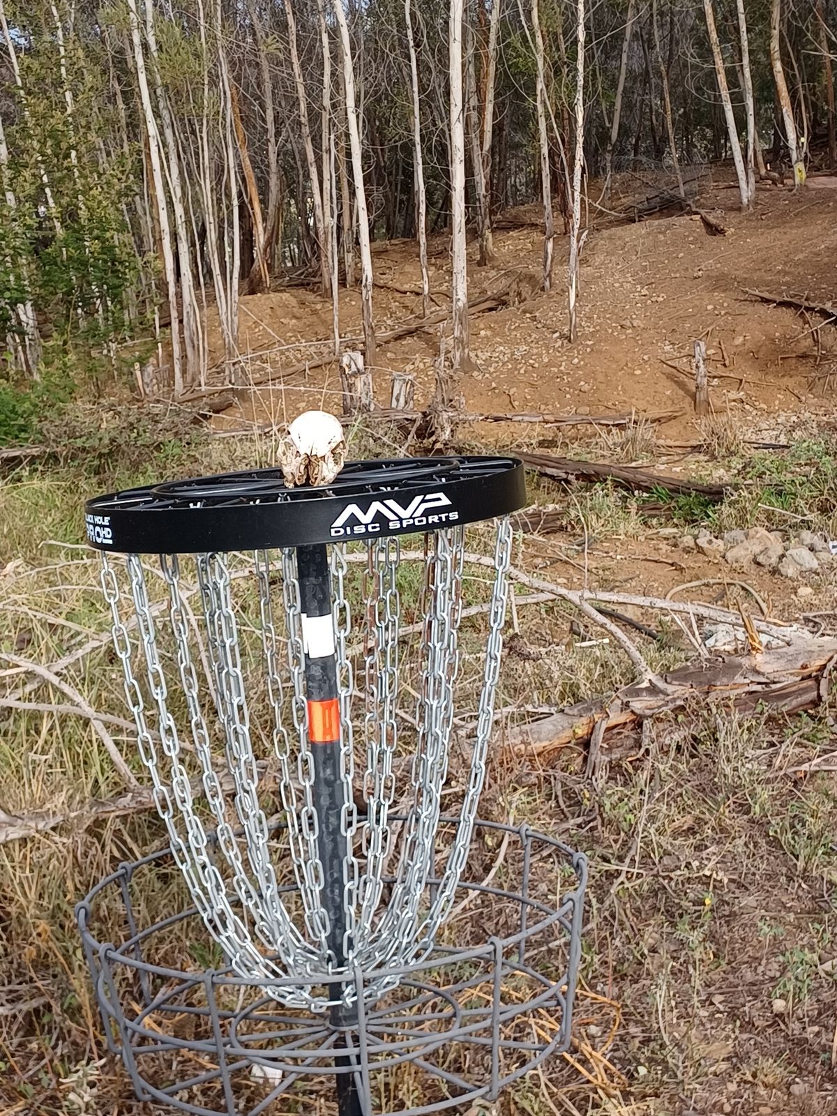 #8 basket looking towards number 9T