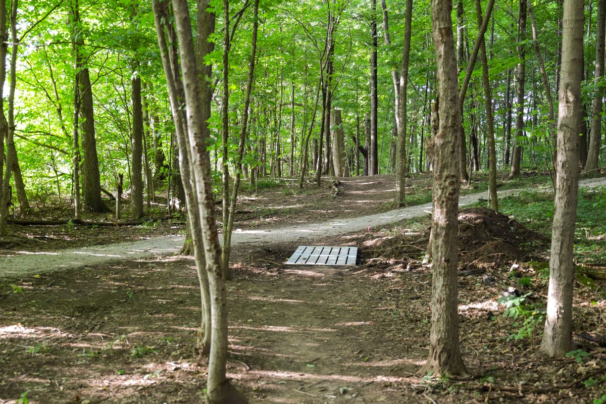 Hole 6 - long tee