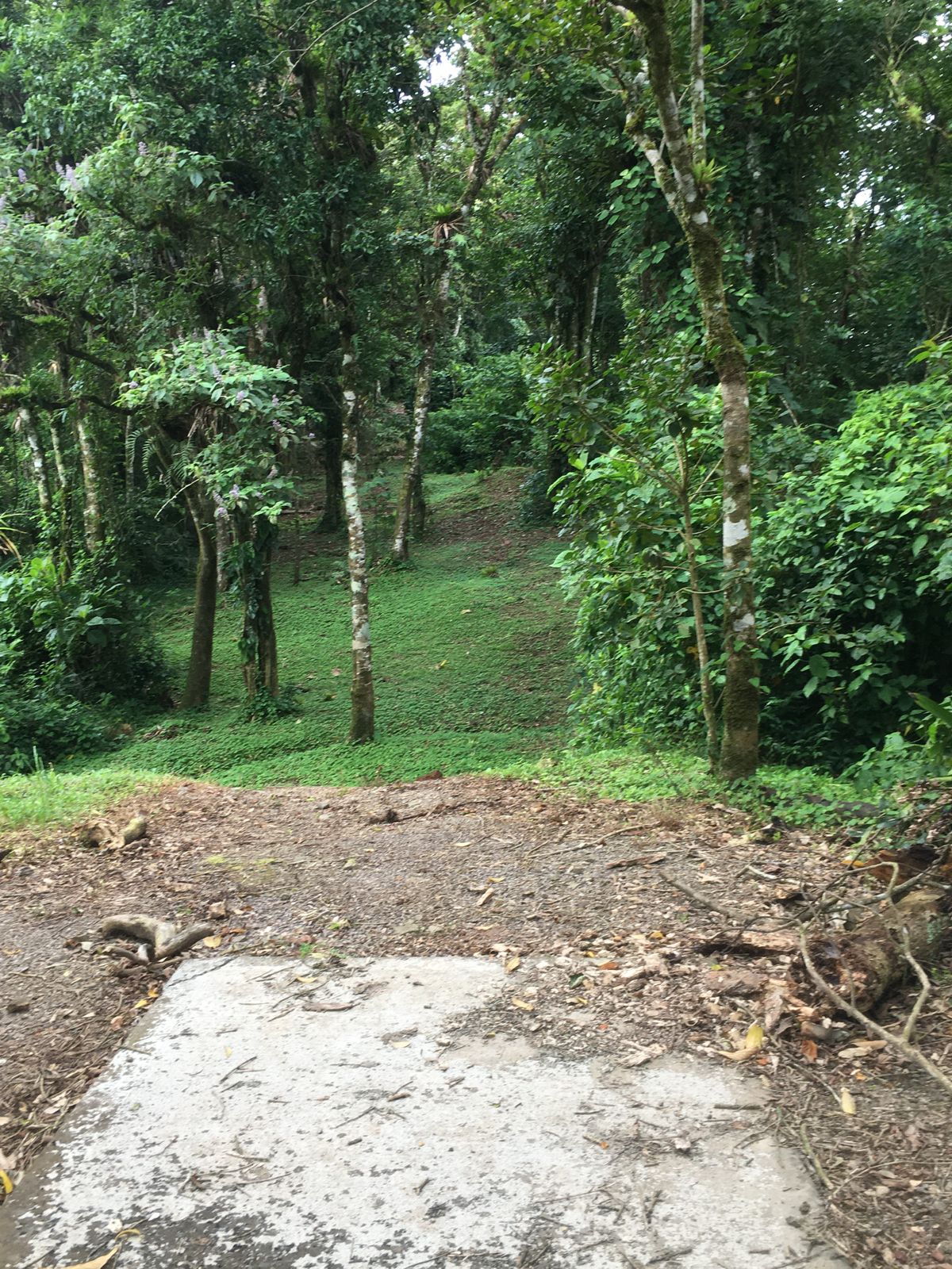 Hole 8 Long Tee