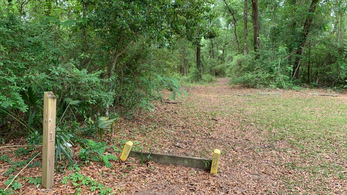 Hole 1