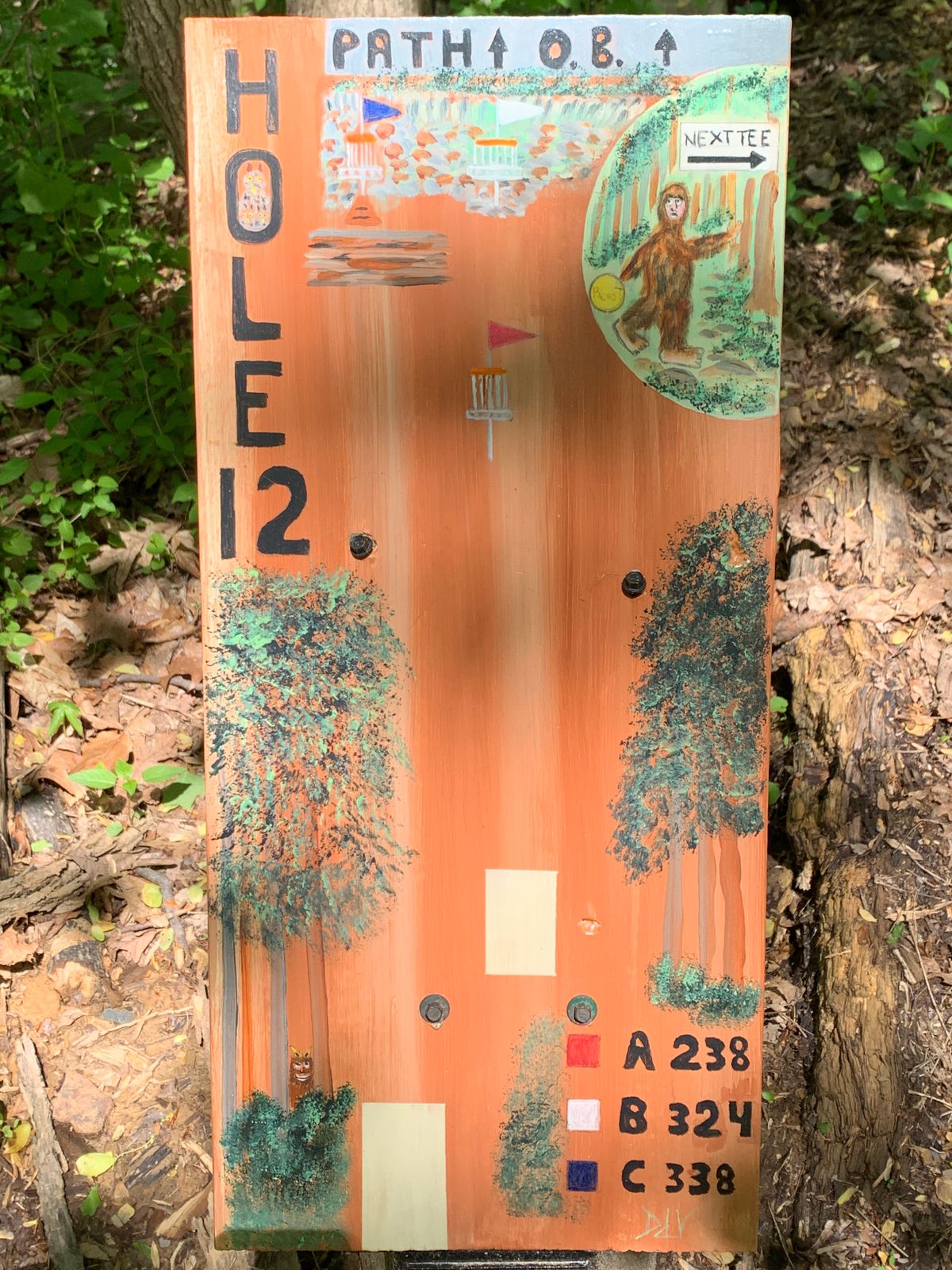 Hole 12 Map