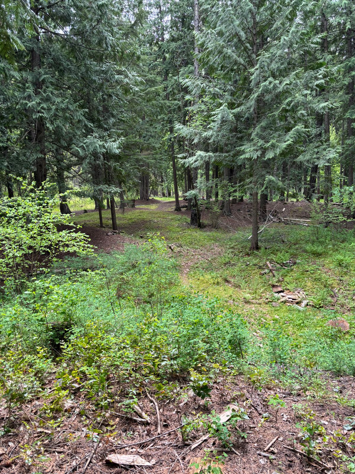 Hole 13