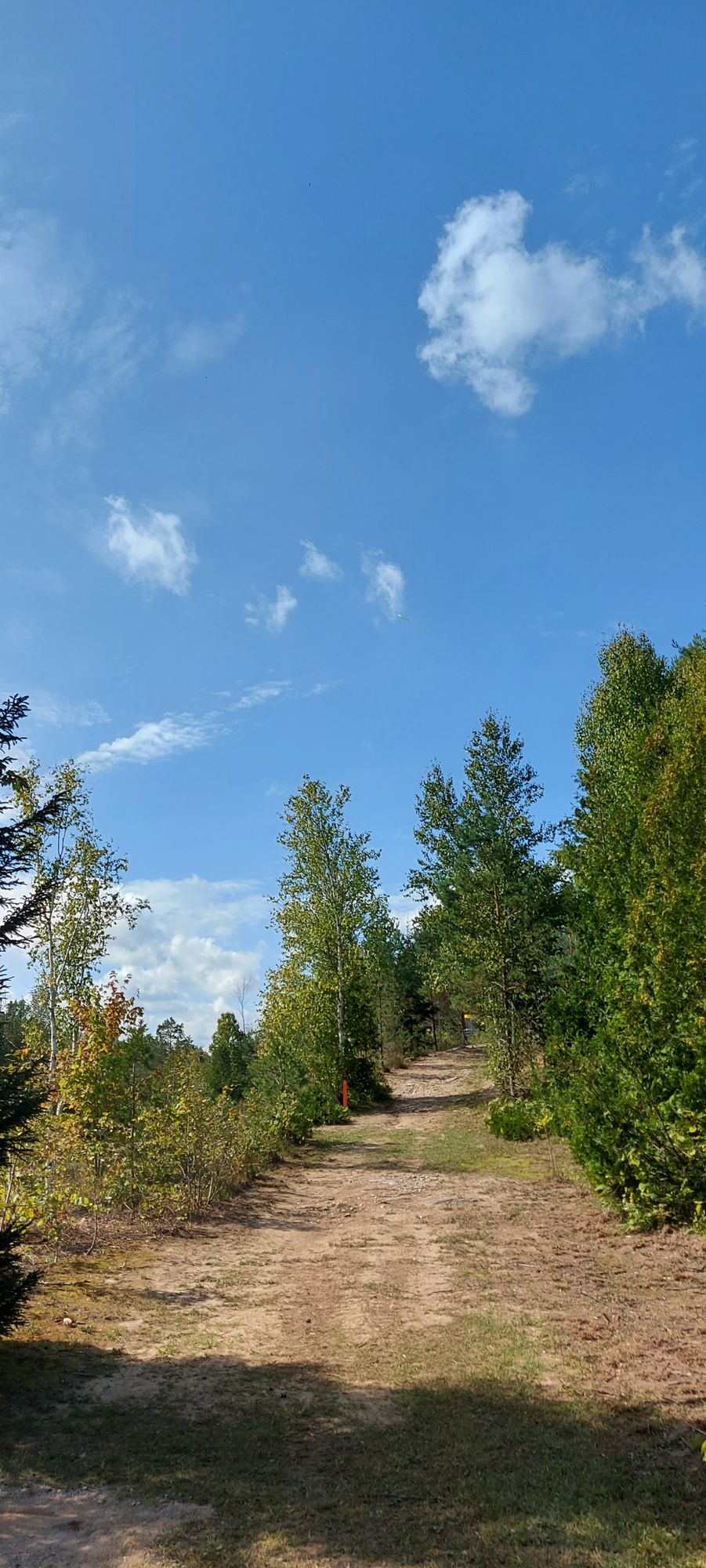 Midrange approach to basket 5.🍀🍁🌲🌳