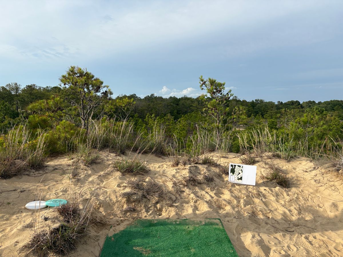 Hole 5 tee