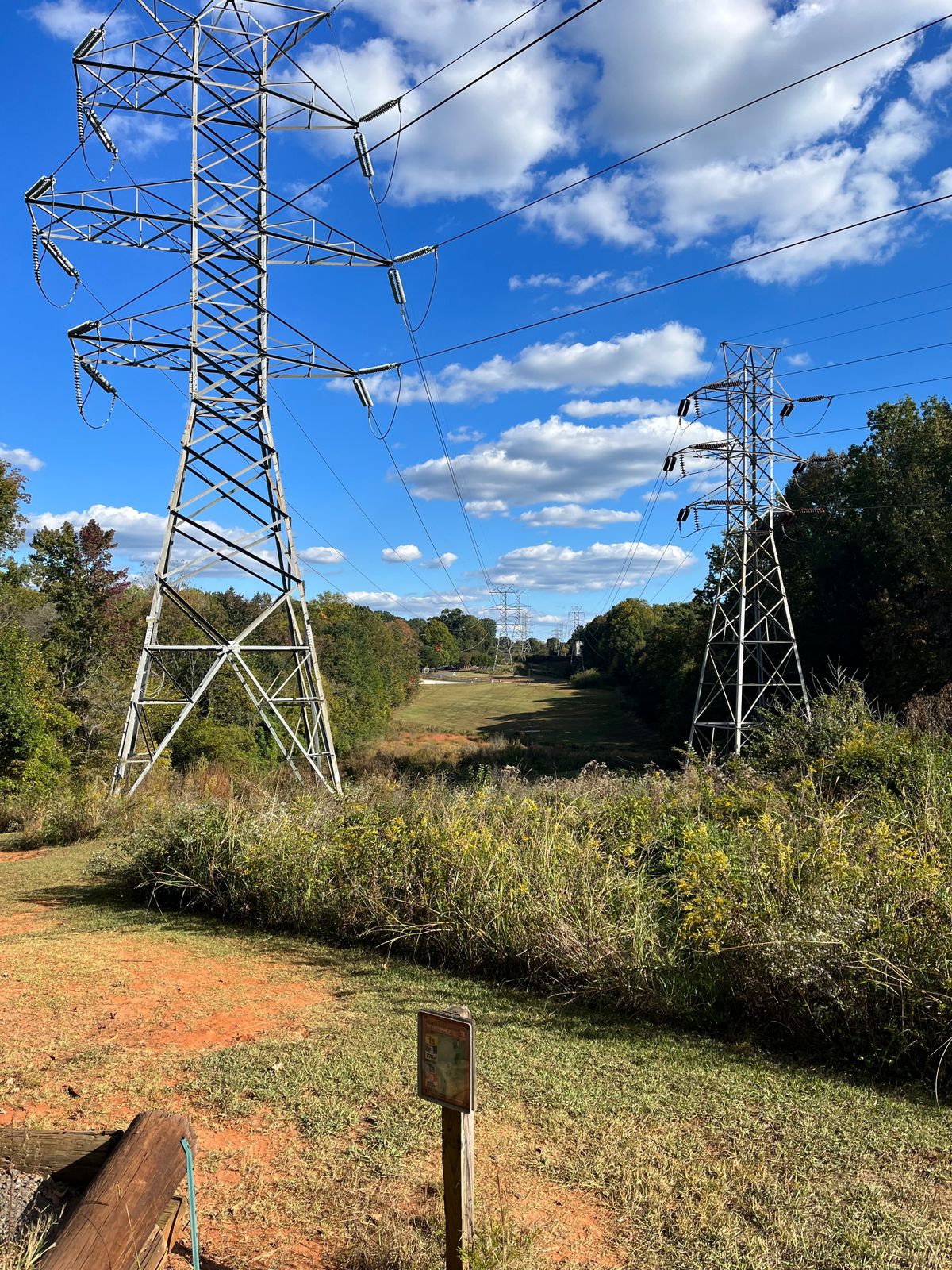 Hole 15 (Gold)