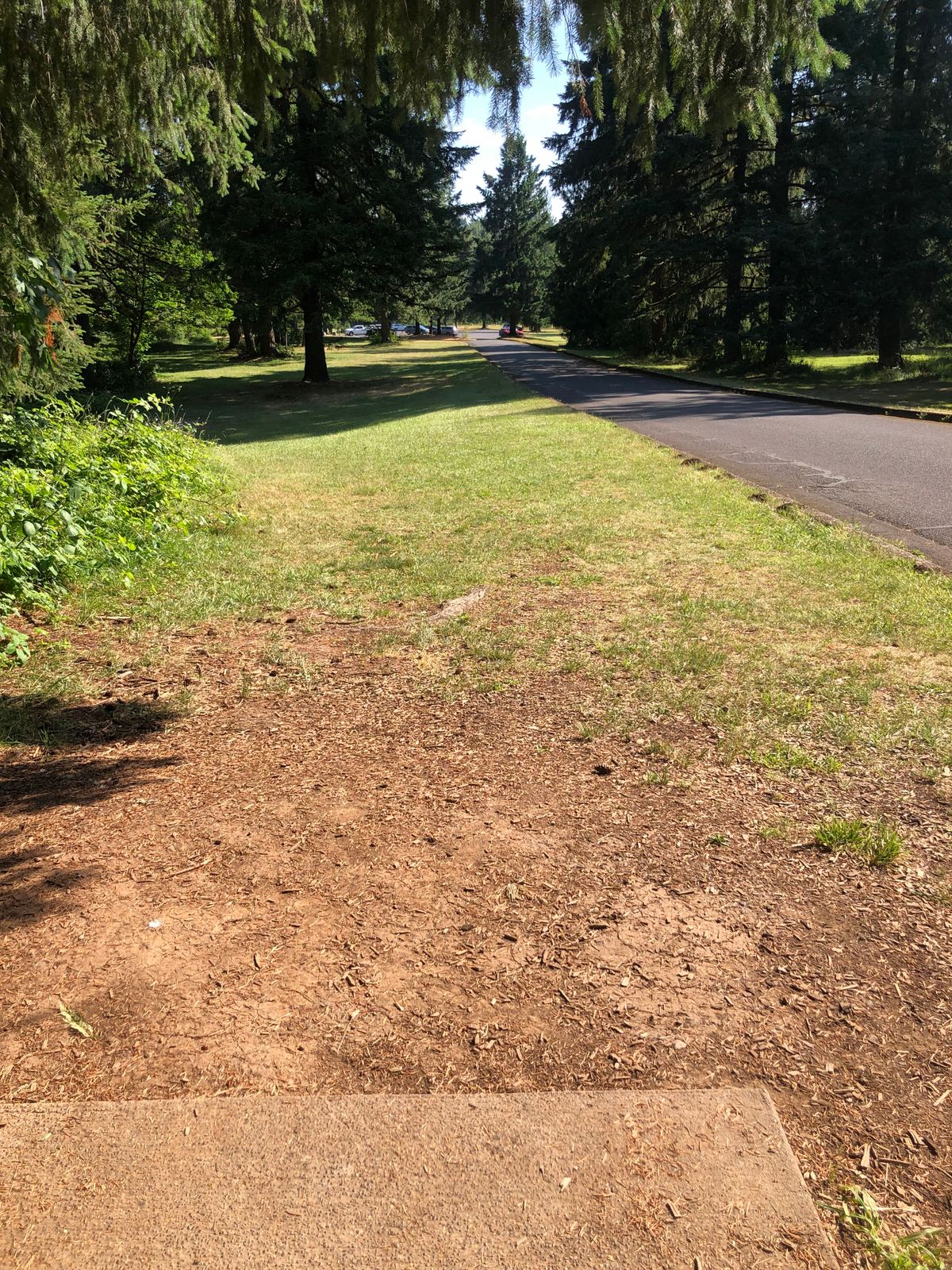 Hole 18 Tee