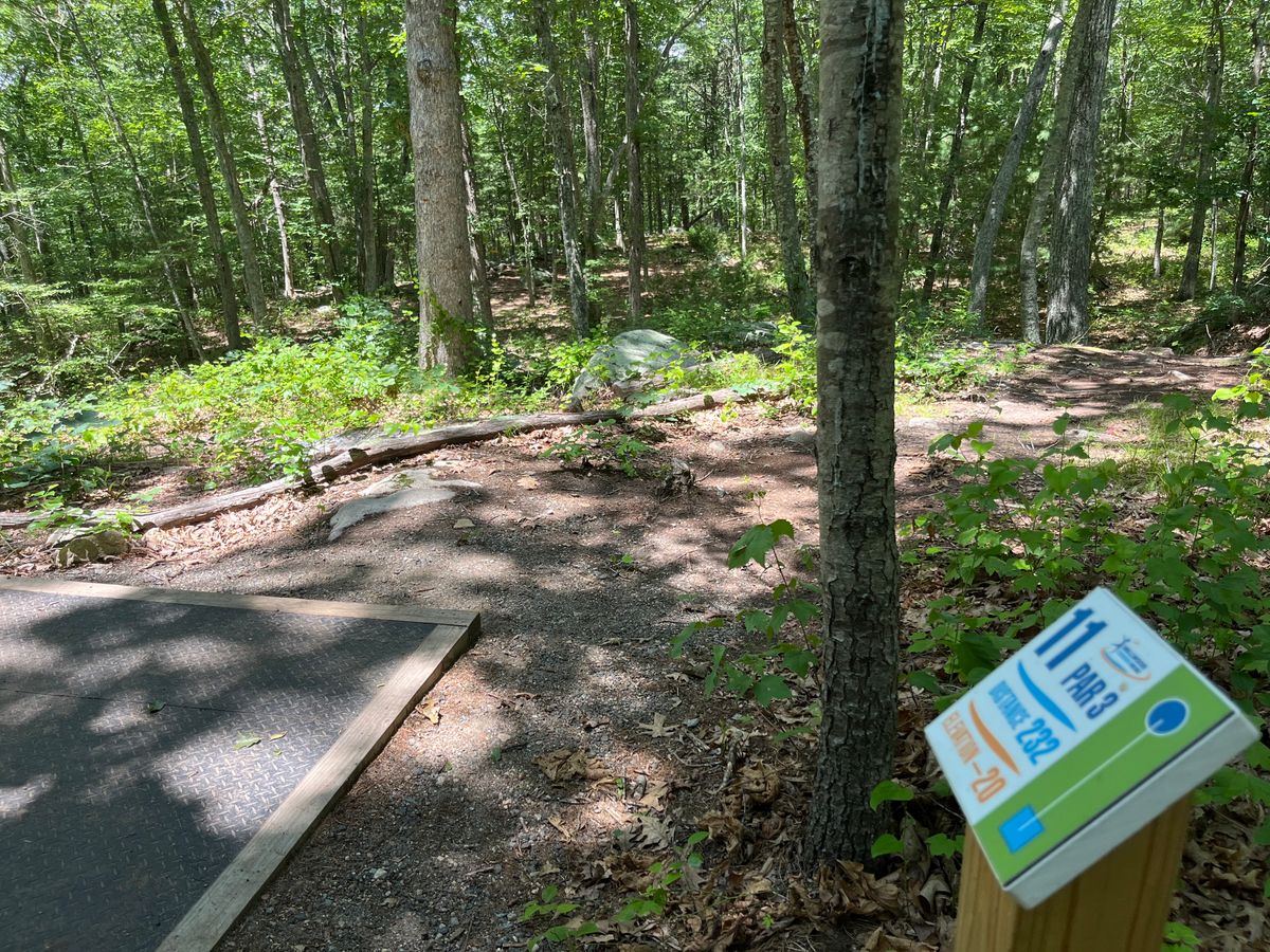 Hole 11