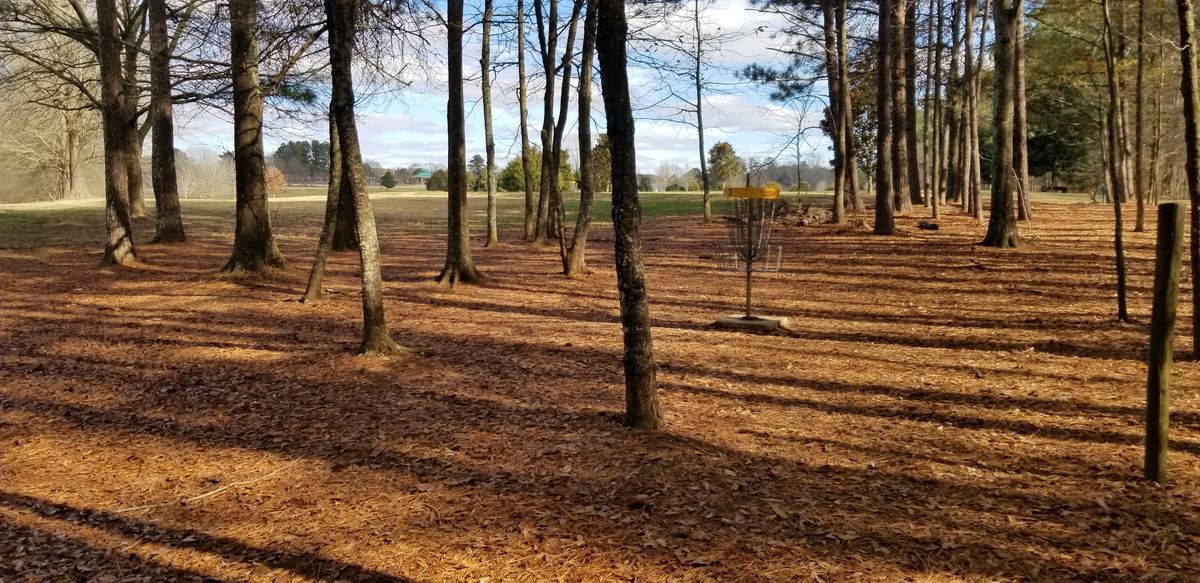 Hole 3 Green (B Pin Location)