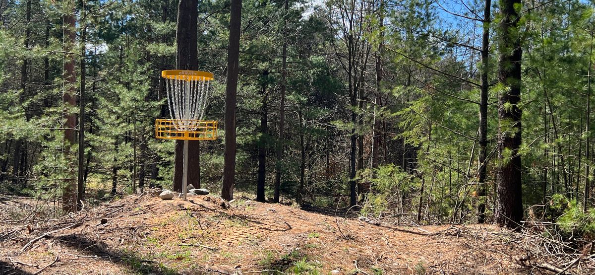Hole 5 from approach