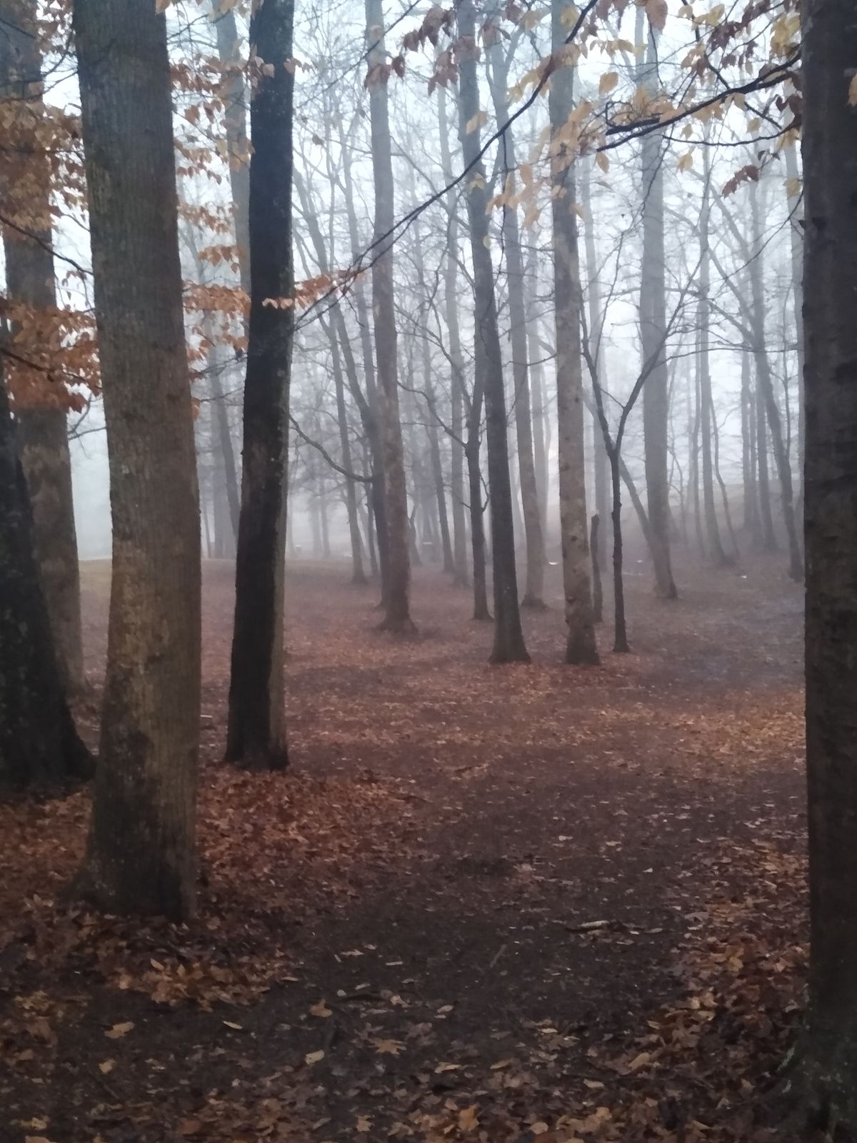 Hole 7