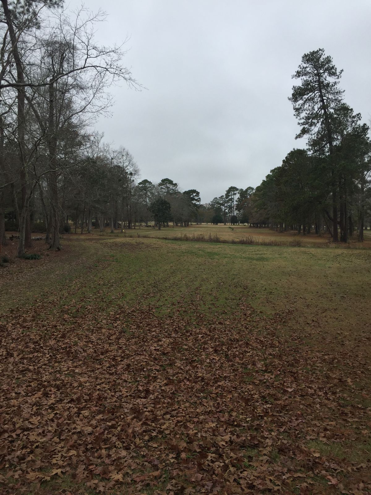Hole 10