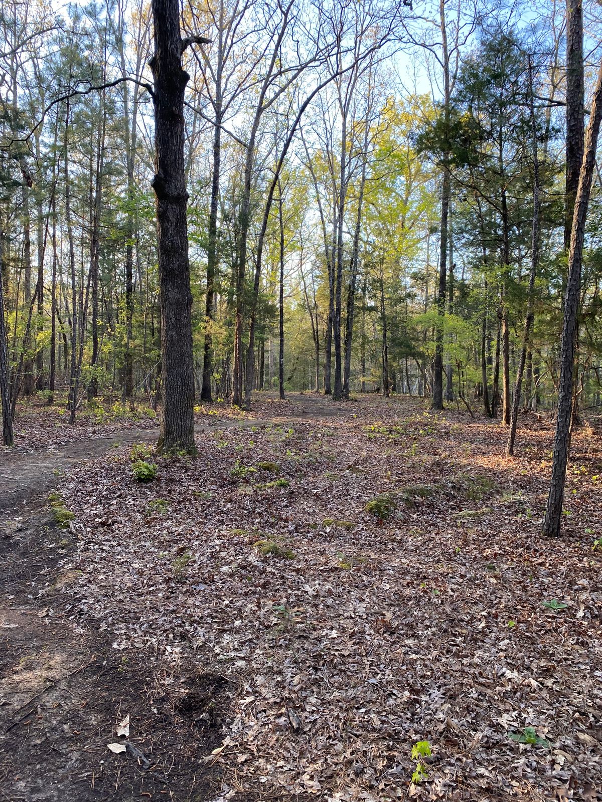 Hole 9