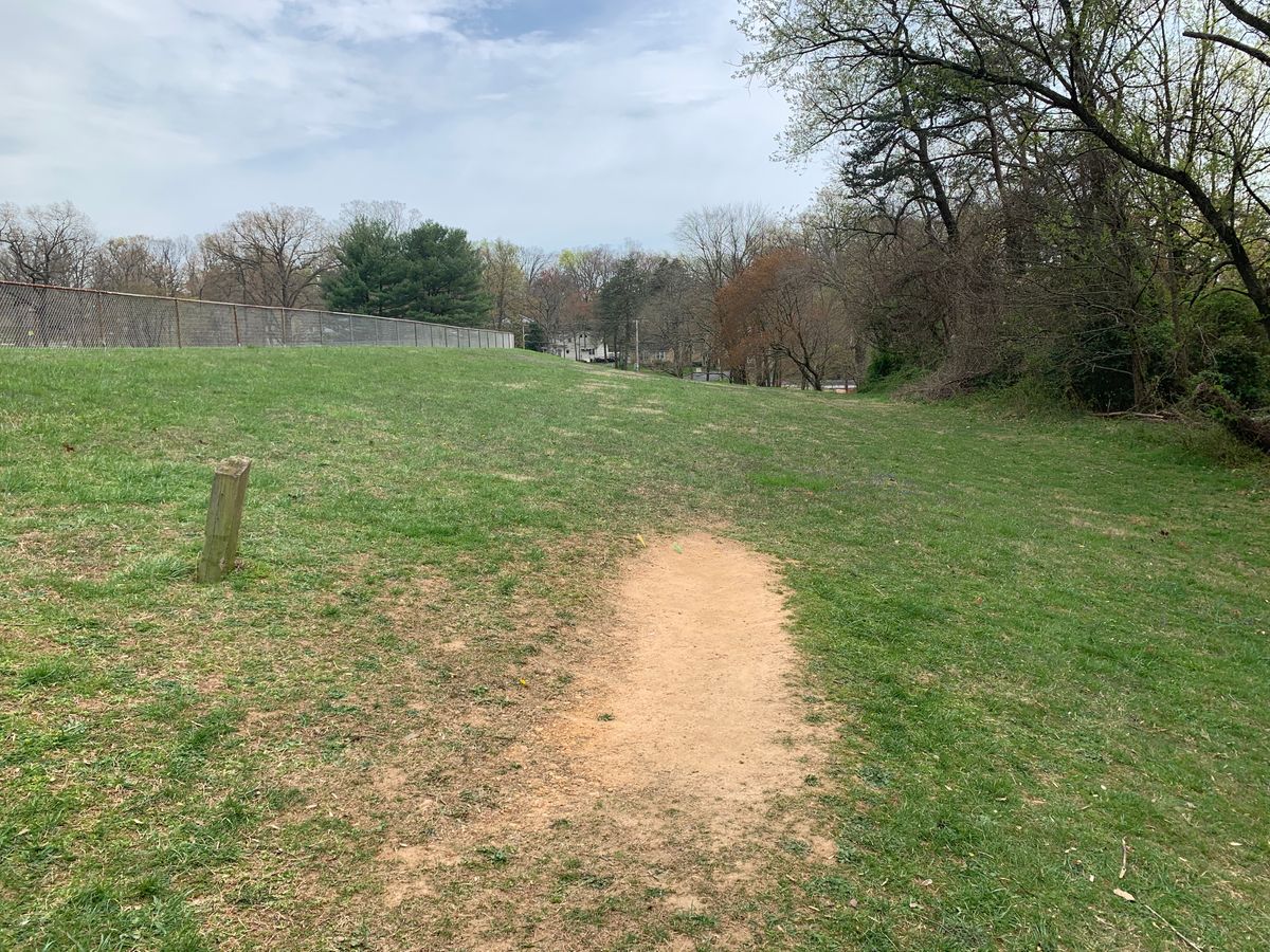 Hole 4 tee