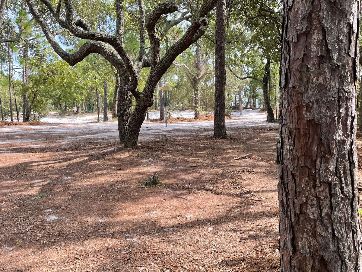 Hole12