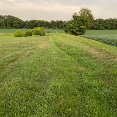 14’s fairway