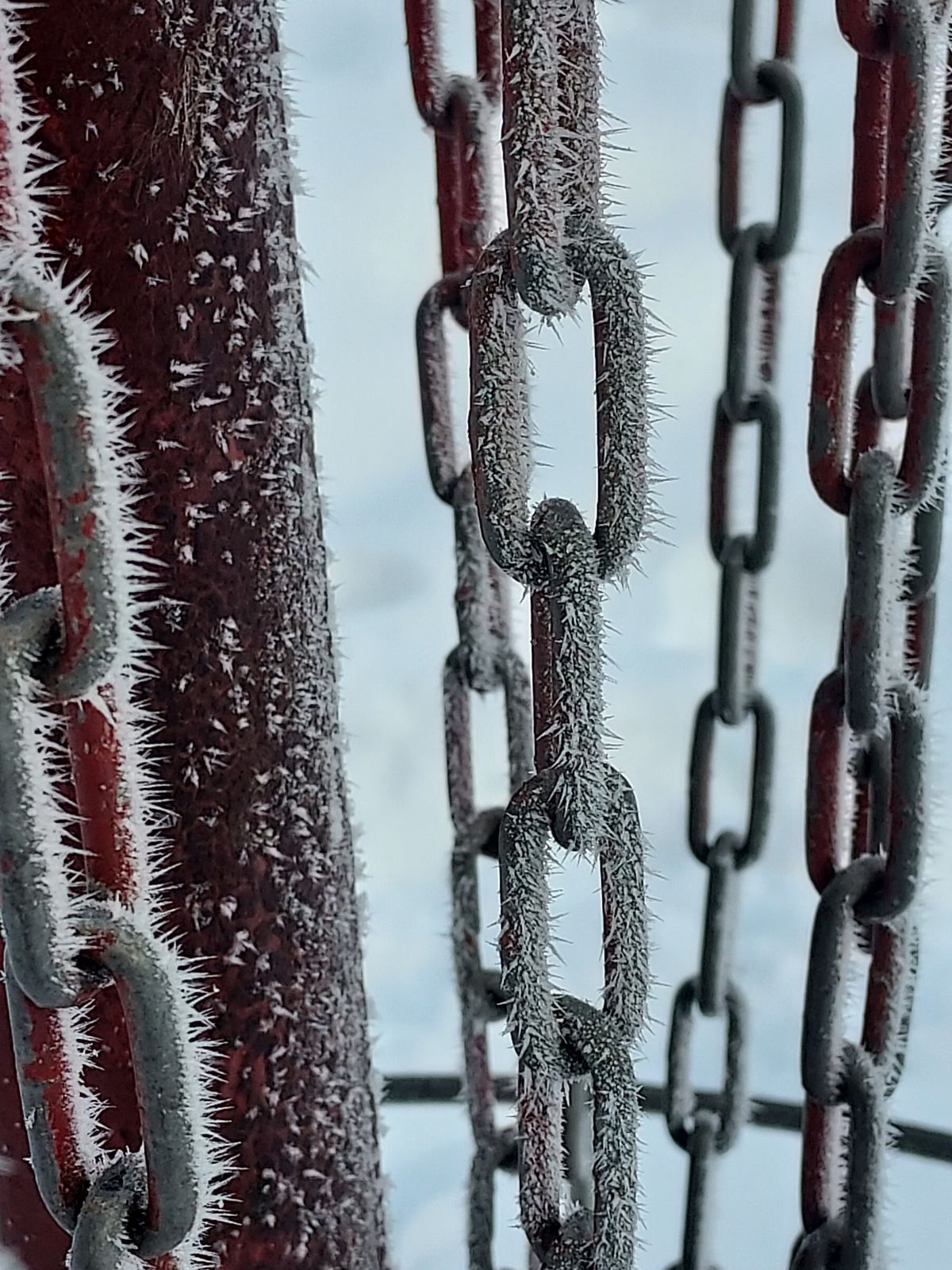 Early morning hoar frost.