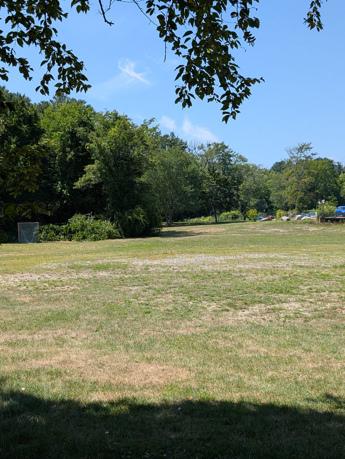 Hole 6 Teepad to Basket. Basket is tucked around the corner