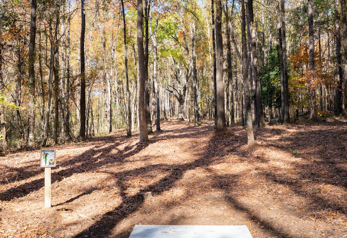 Hole 18 tee.