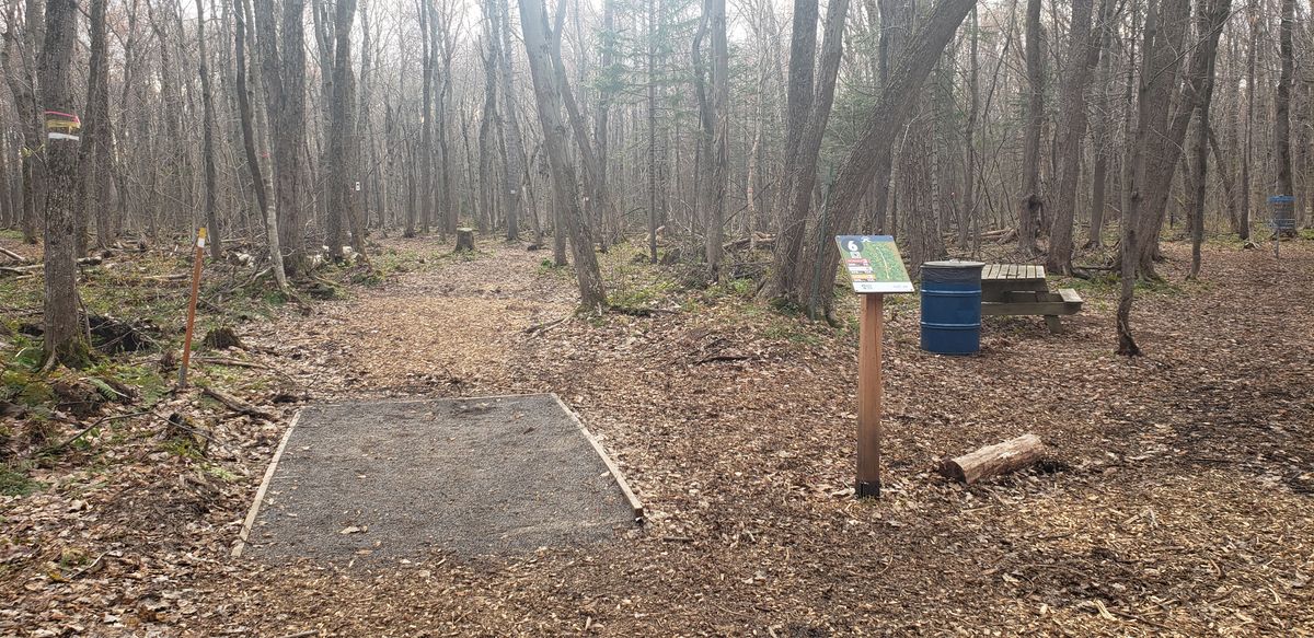 Long tee #6, if you haven't taken the bypass after the 5th circle, the short tee is 125ft/38m straight ahead then on your right.