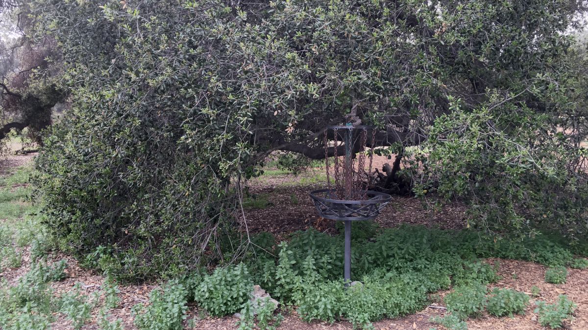 Hole 10