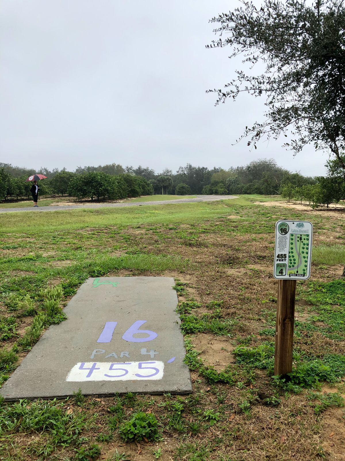 Hole 16 Tee Pad