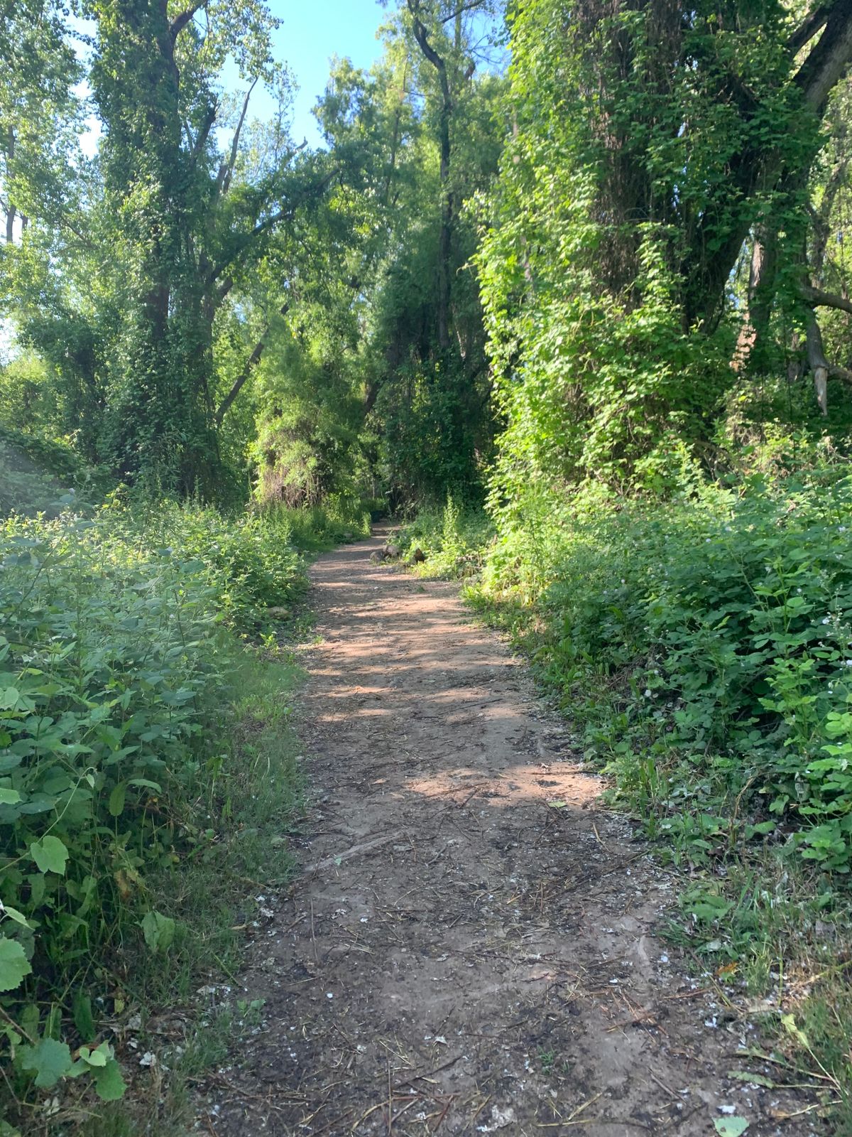 Connecting trail between hole 2 and 3.