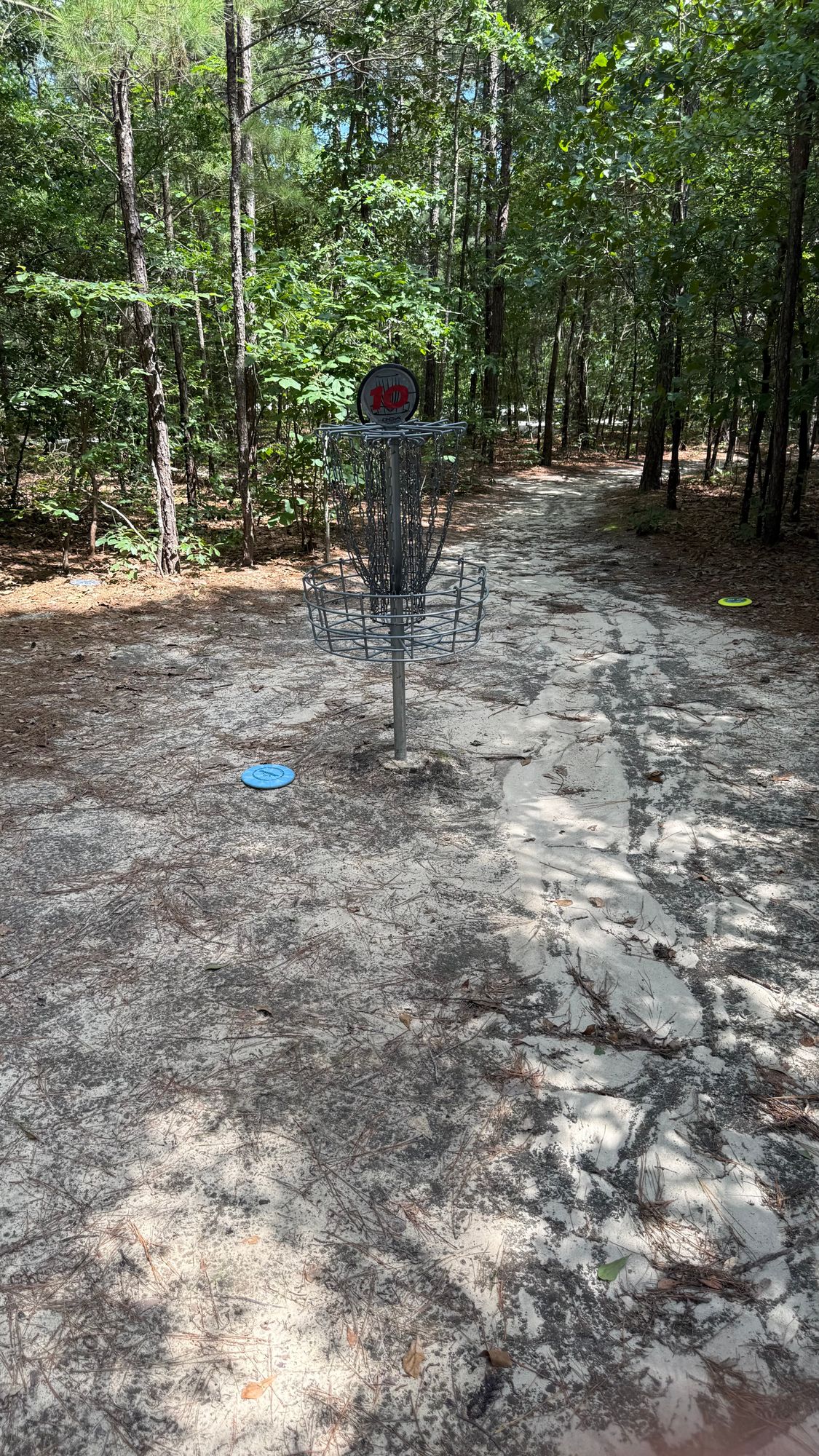 Hole 10 Basket