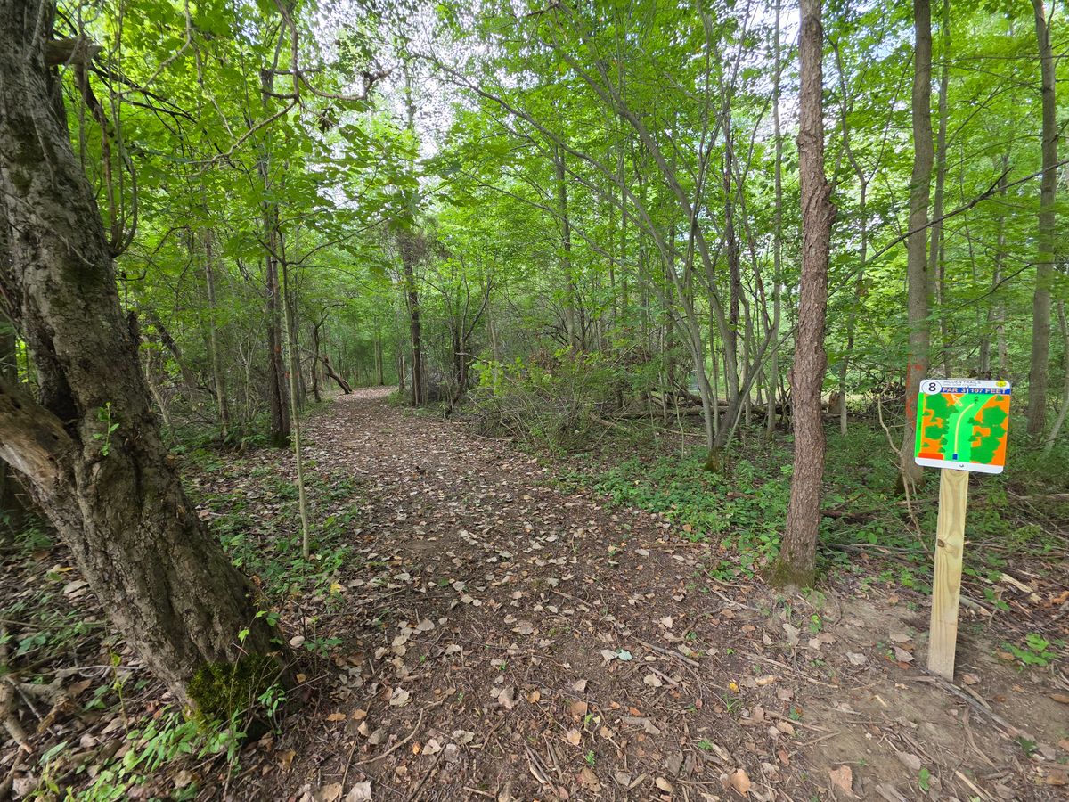 Hole 8