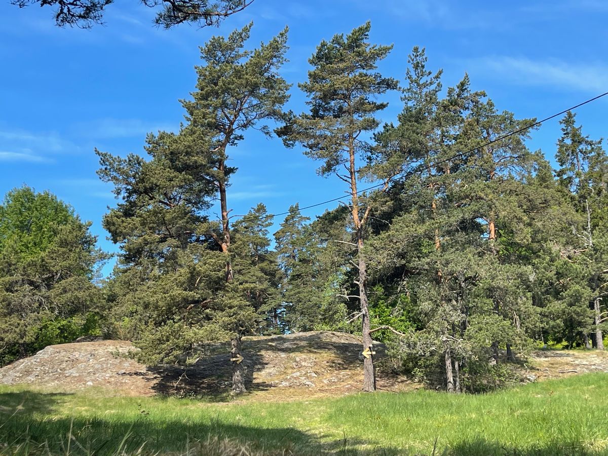 Hole 6